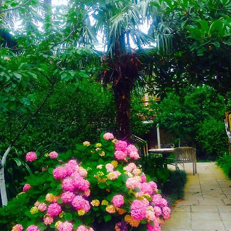 Colibri Home Kutaisi Dış mekan fotoğraf
