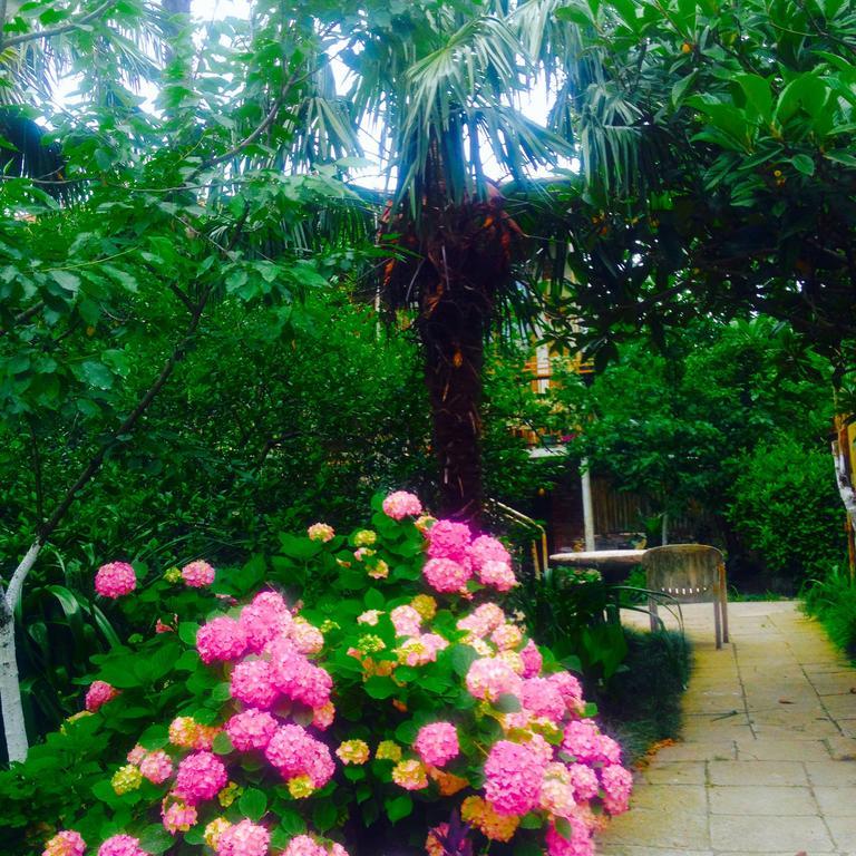 Colibri Home Kutaisi Dış mekan fotoğraf