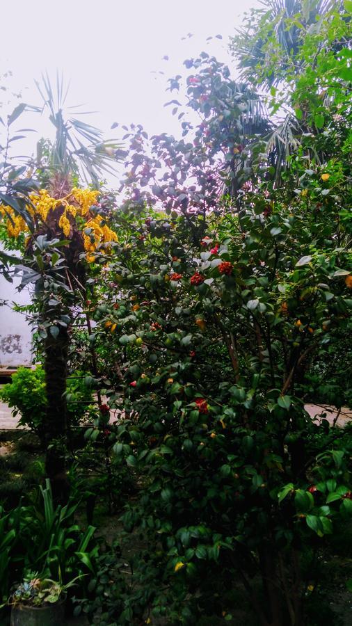 Colibri Home Kutaisi Dış mekan fotoğraf