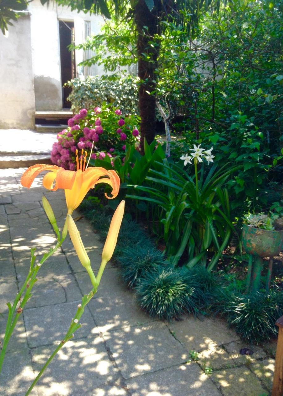 Colibri Home Kutaisi Dış mekan fotoğraf